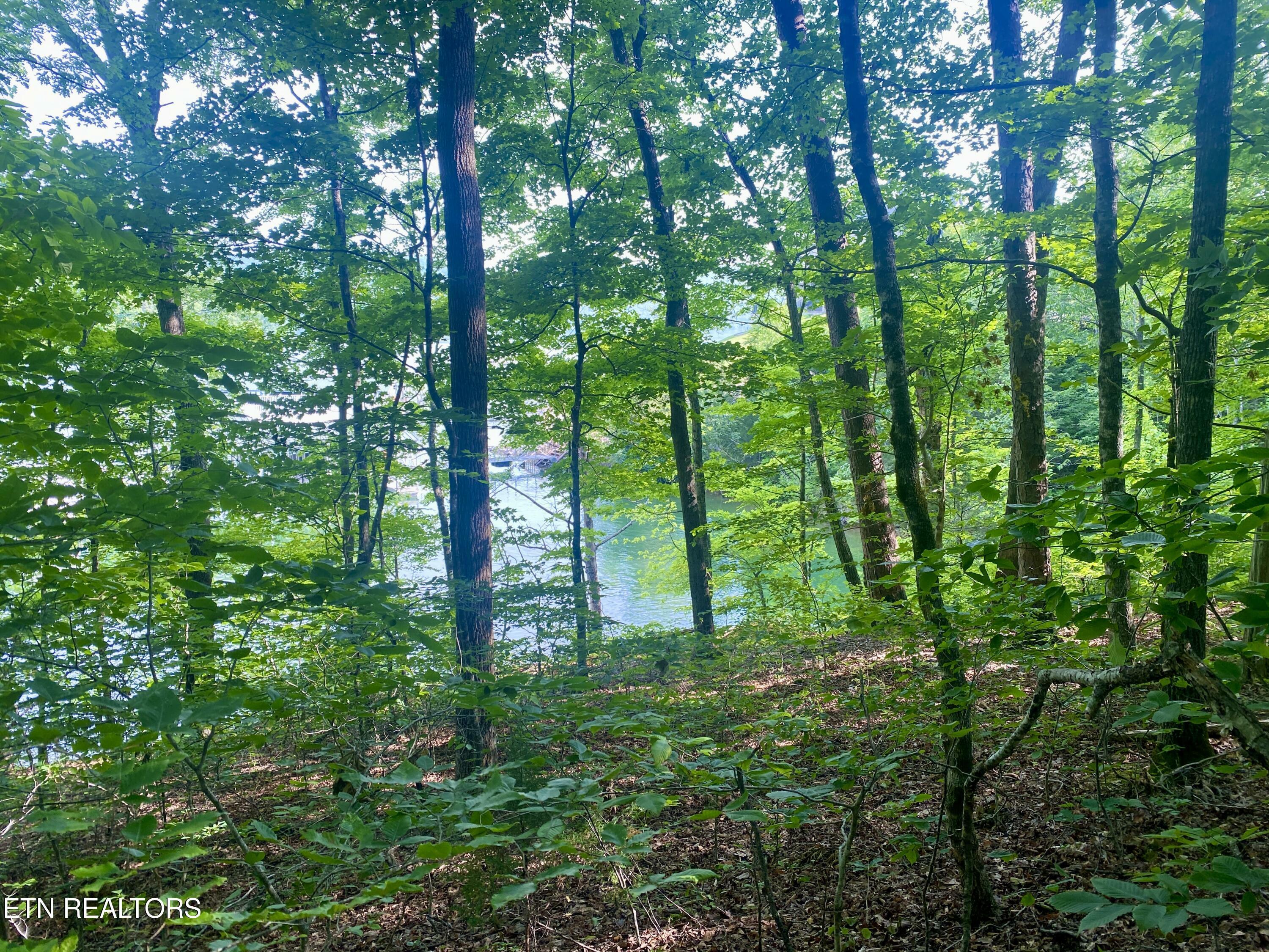 Property Photo:  Lot #130 Hickory Pointe Lane  TN 37807 