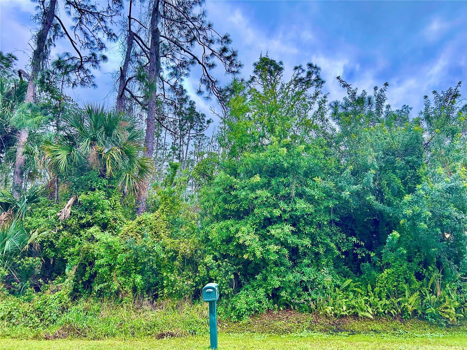 Property Photo: Madagascar Avenue FL 34286