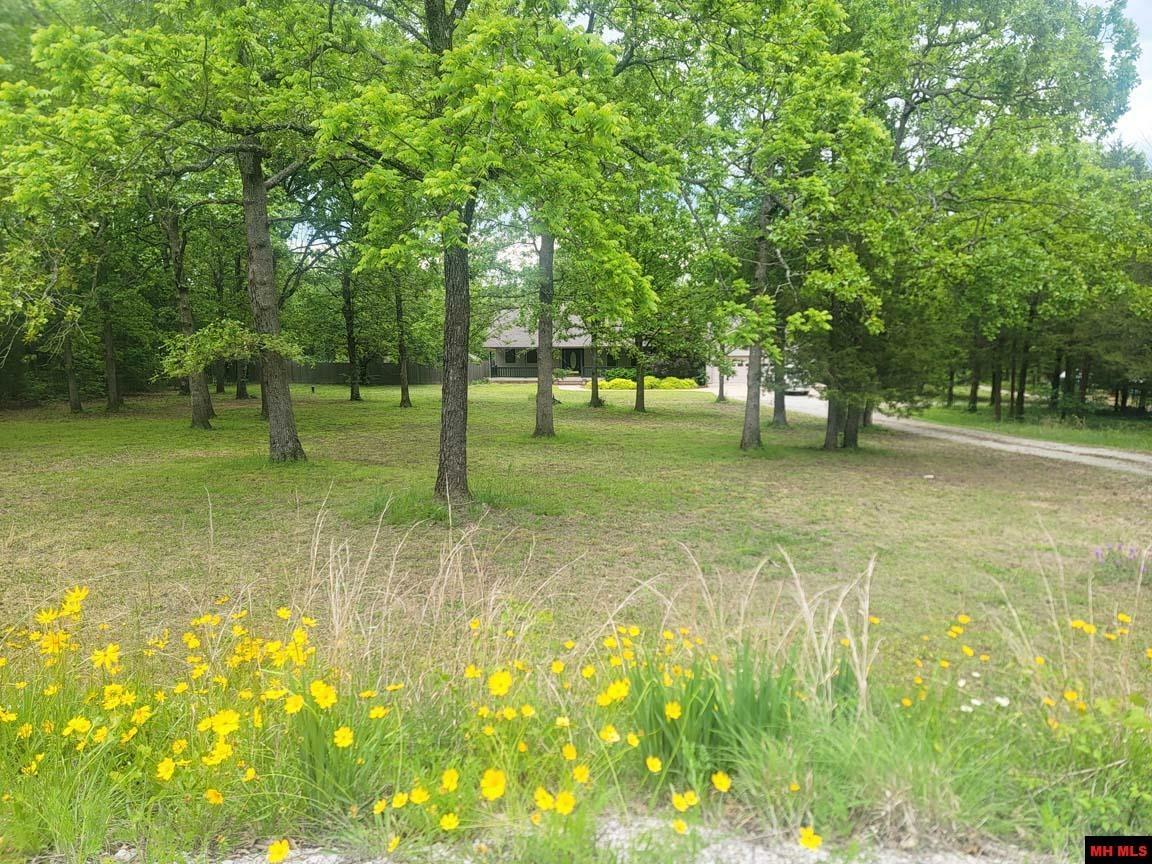 Property Photo: 1395 Blue Wing Road AR 72653