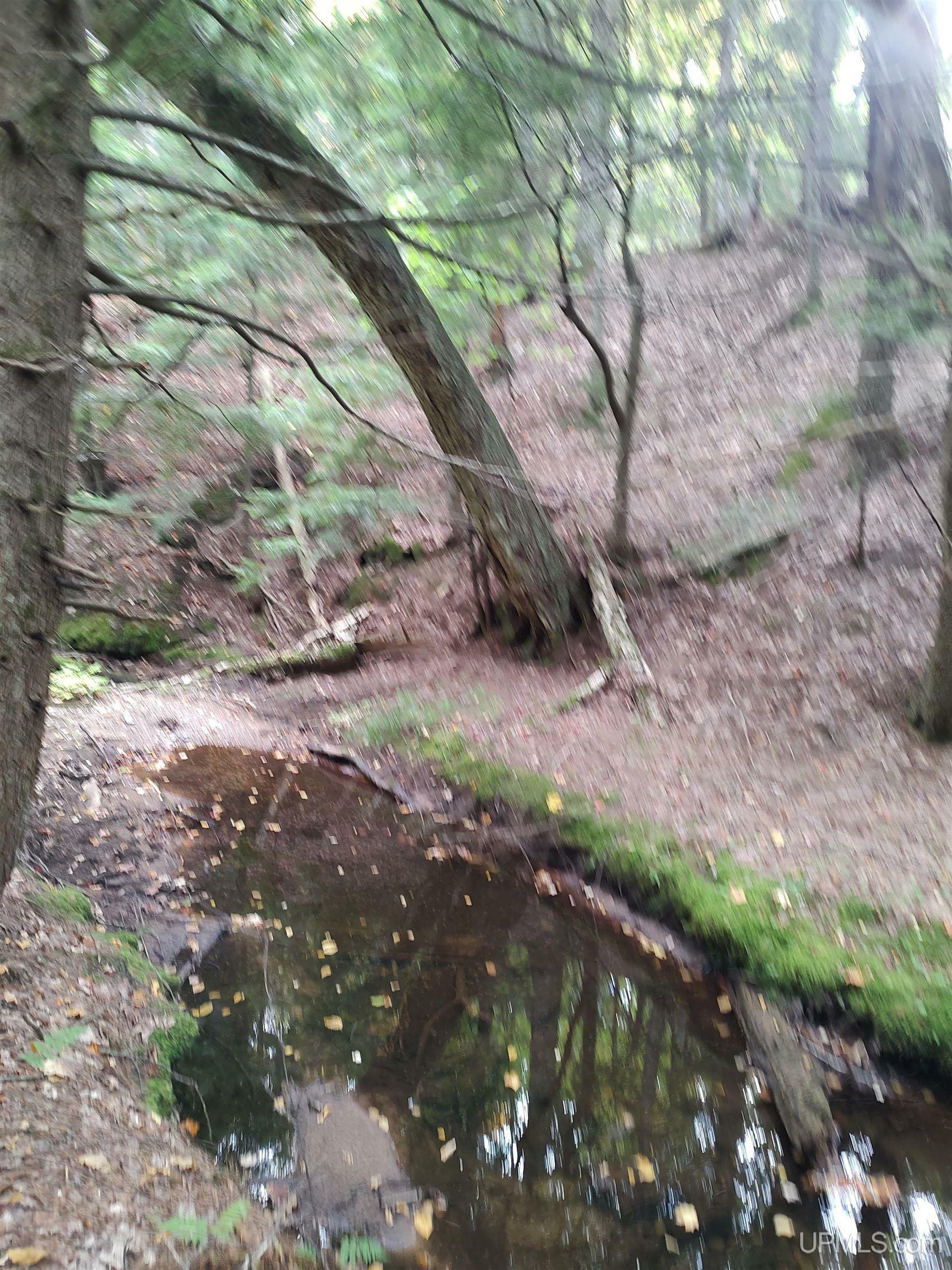 Property Photo: 160 Acres Lost Creek Road MI 49855