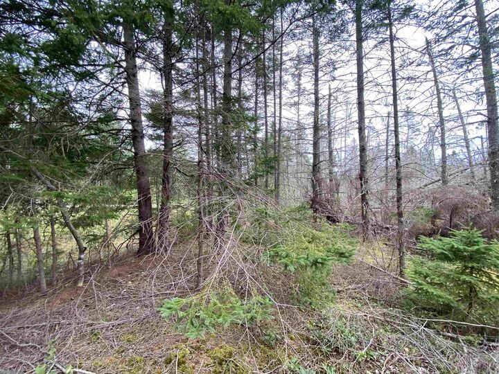 Property Photo:  Lot 9 Floating Bridge Road  PE C0A 1W0 