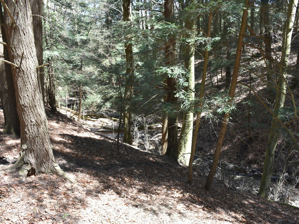 Property Photo: 15990 Meadow Drive PA 16433