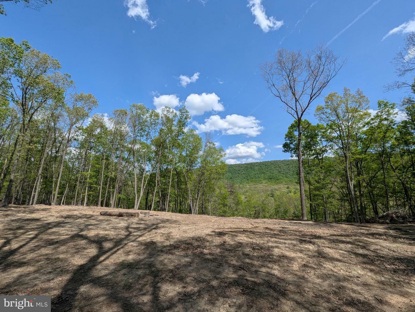 Property Photo: Lot 20 Otter Creek Drive WV 25420
