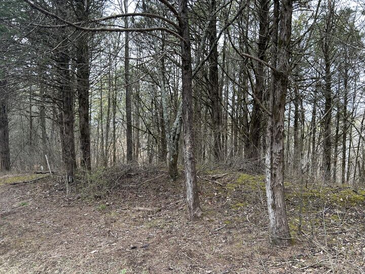 Property Photo: 3440 Spring Lane W TN 37890