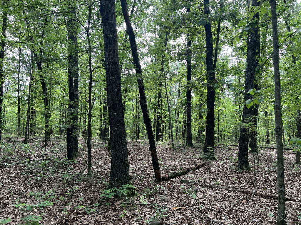 21.58 Acres On Meadow Creek Drive  Harrison AR 72601 photo