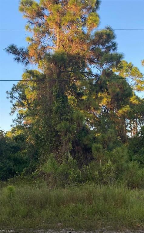 Property Photo: 755 Meadow Rd FL 33973