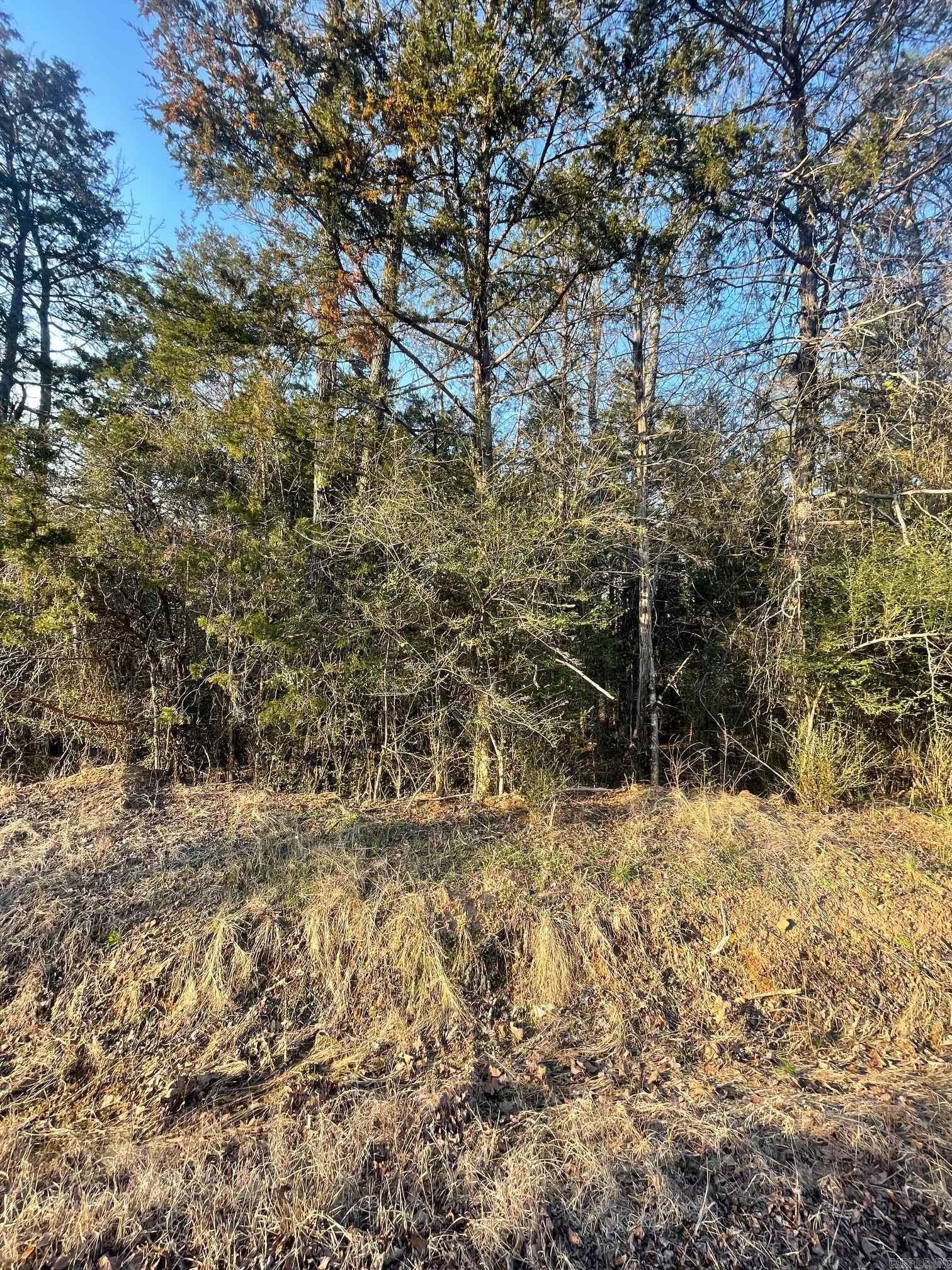 Property Photo:  00 Heidi Lane  AR 72153 