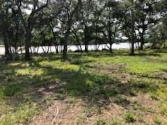 Property Photo:  0 County Road 306  TX 77422 