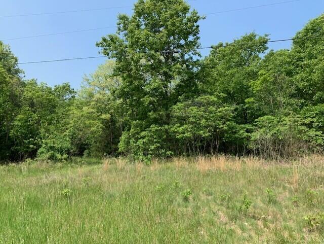Property Photo: 0 65th Street MI 49423