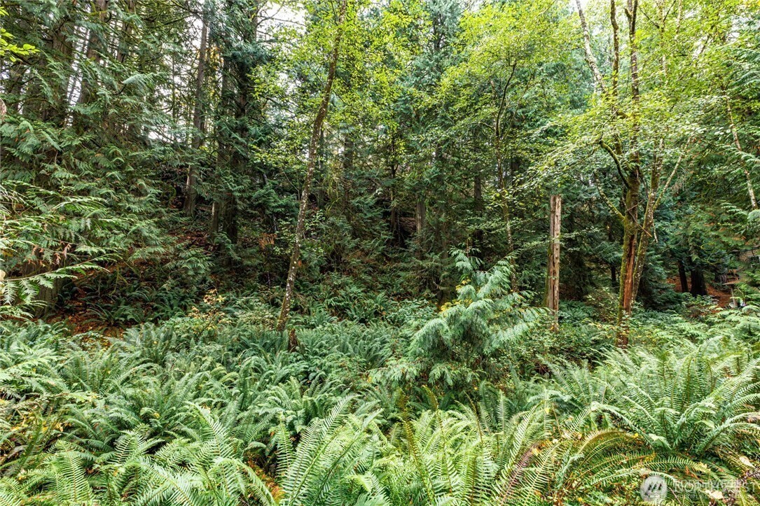 Property Photo: 203 Sudden Valley Drive WA 98229