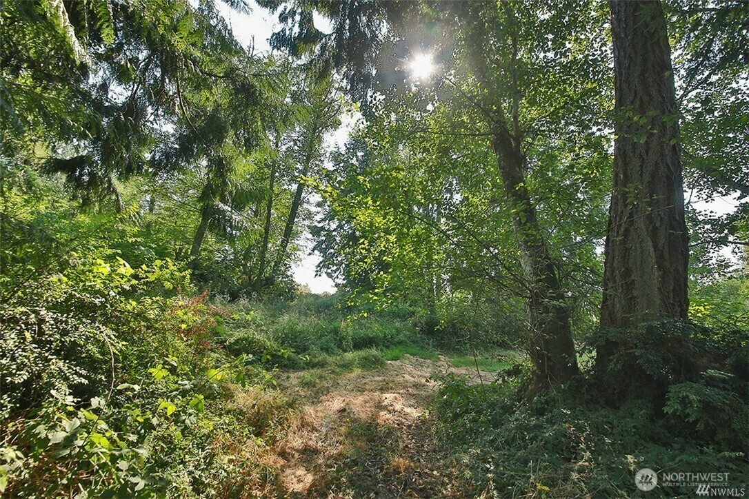 0 Lot 7  Thompson Road  Langley WA 98260 photo