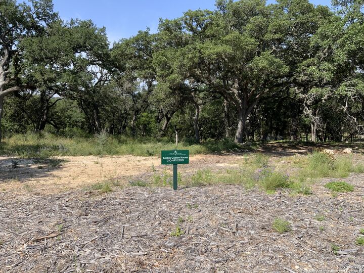 24643 Cliff Line  San Antonio TX 78257 photo