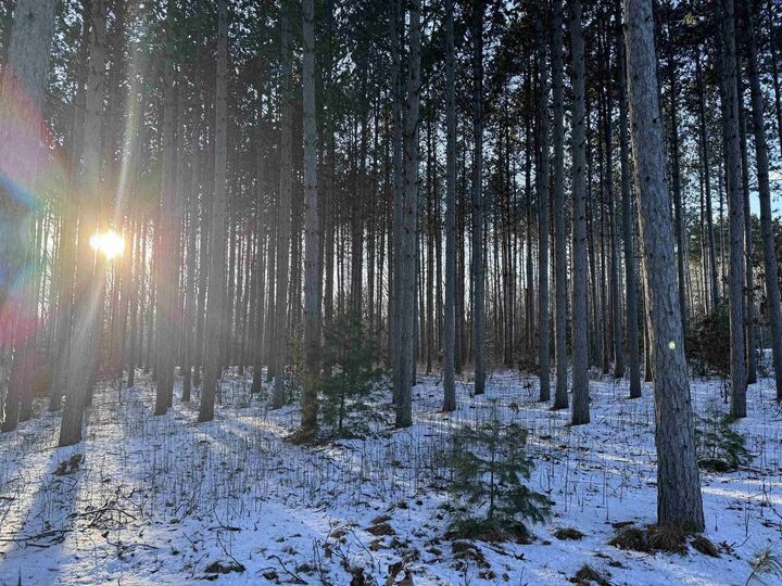 Lot 24 Brostron Road  Baraboo WI 53913 photo