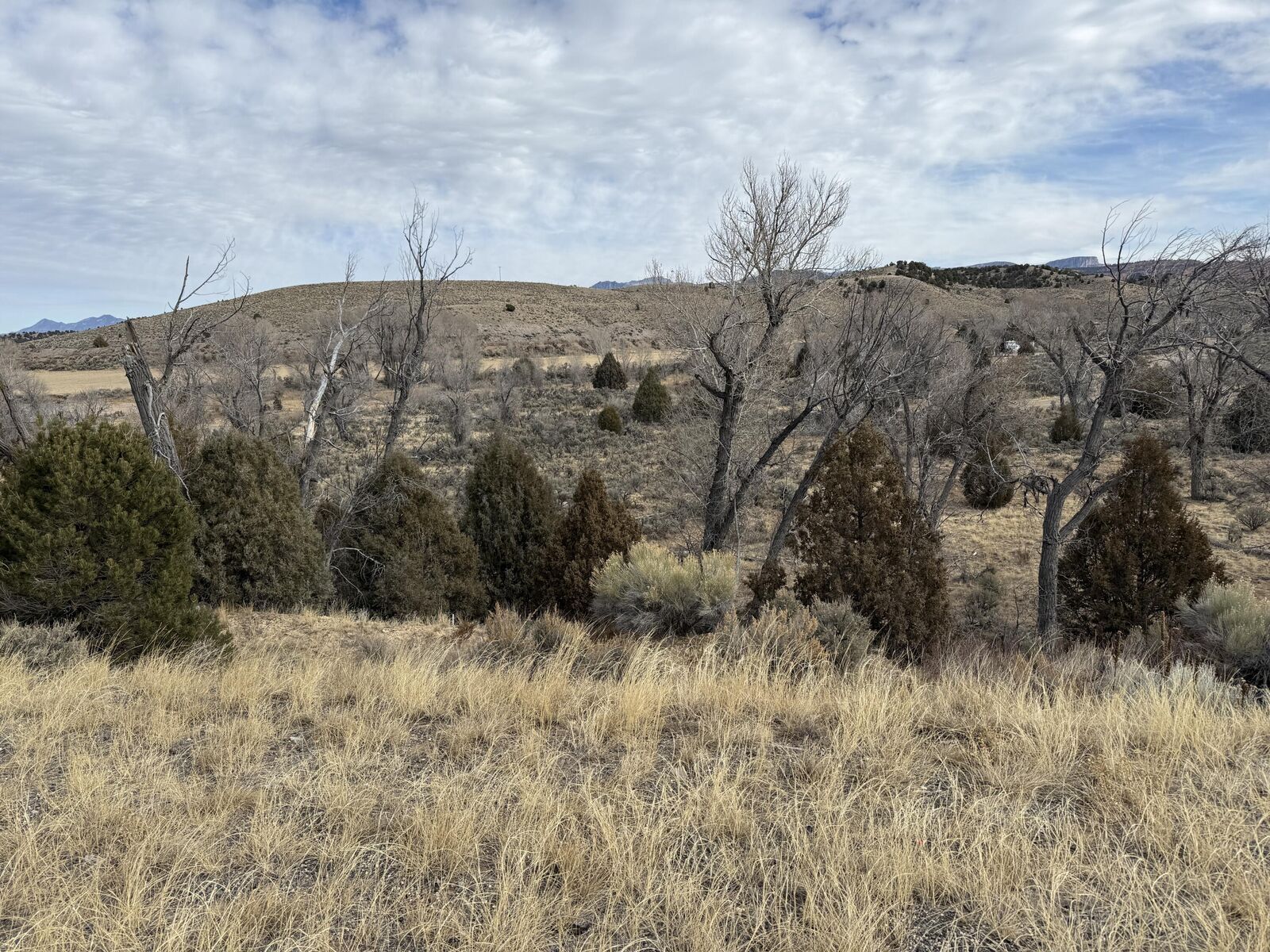 Property Photo:  1460 S Rainbow Drive  UT 84759 