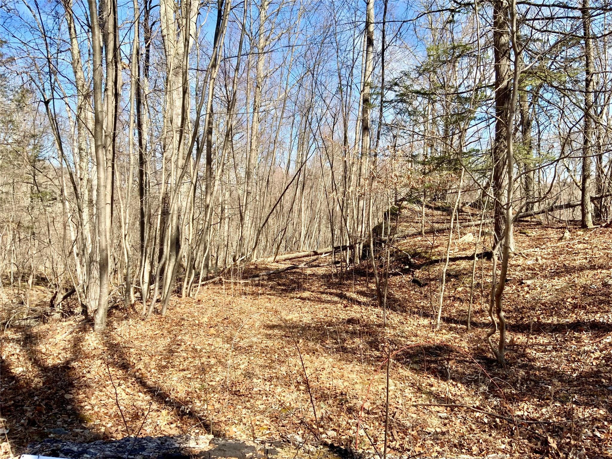 Property Photo: Tbd Hawleys Corner NY