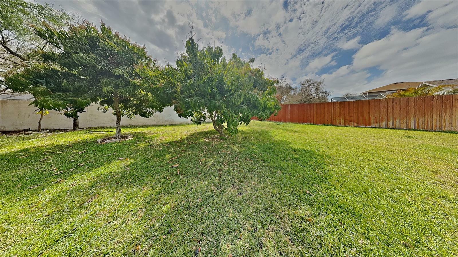 Property Photo: 11319 Clayridge Drive FL 33635