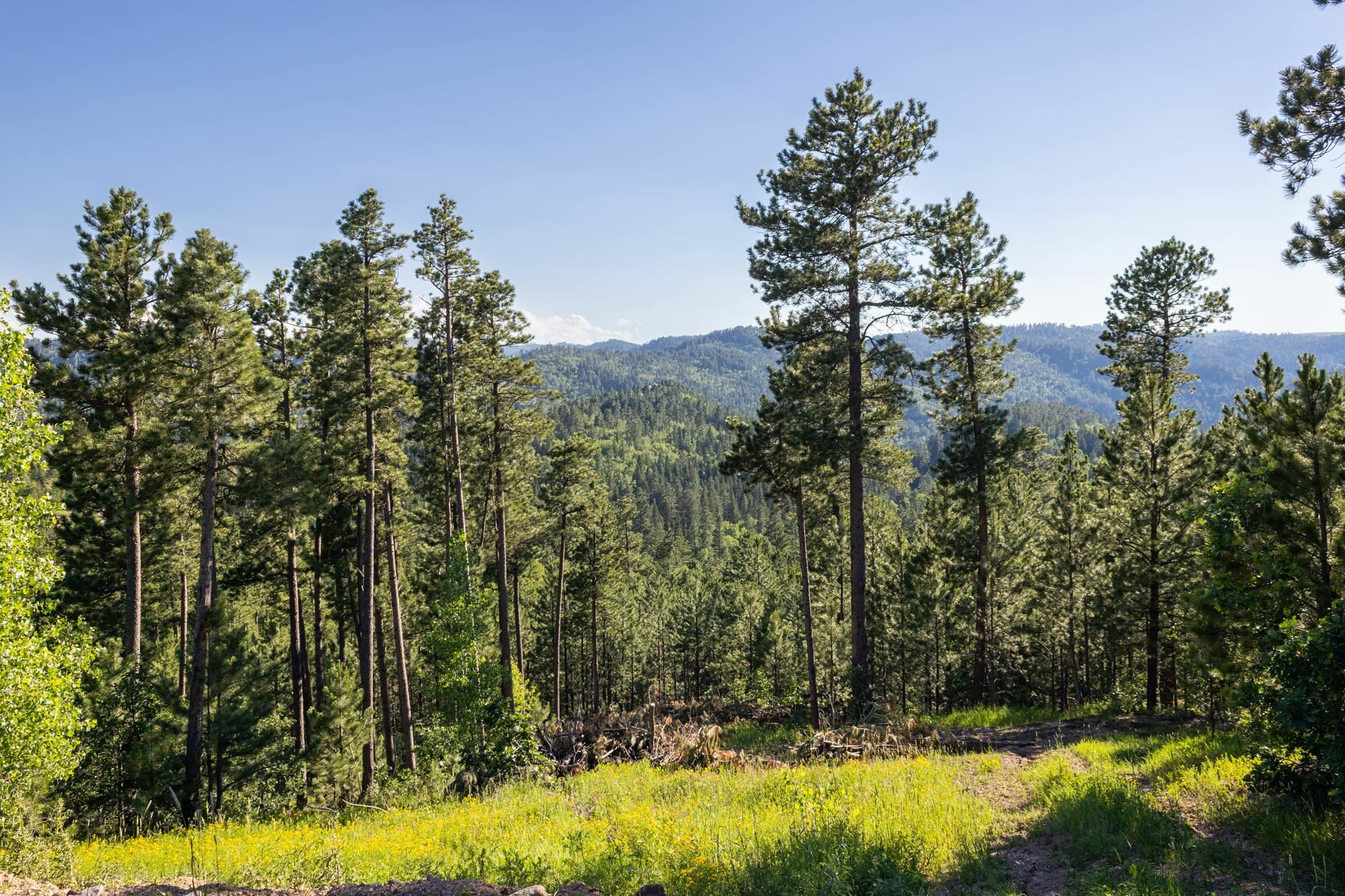 Lot 118 Paradise Gulch Loop  Lead SD 57754 photo
