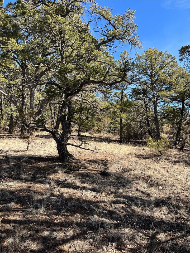 Property Photo: 0 La Posta Way Tract 7-1 NM 87505
