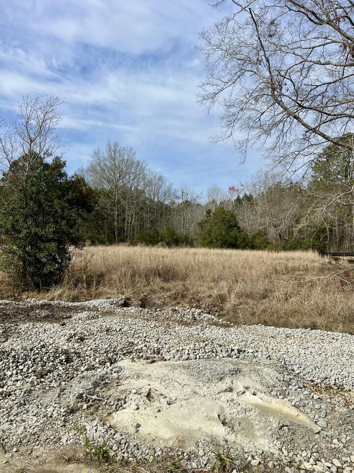 Property Photo: 127 Chicora Lane SC 29945