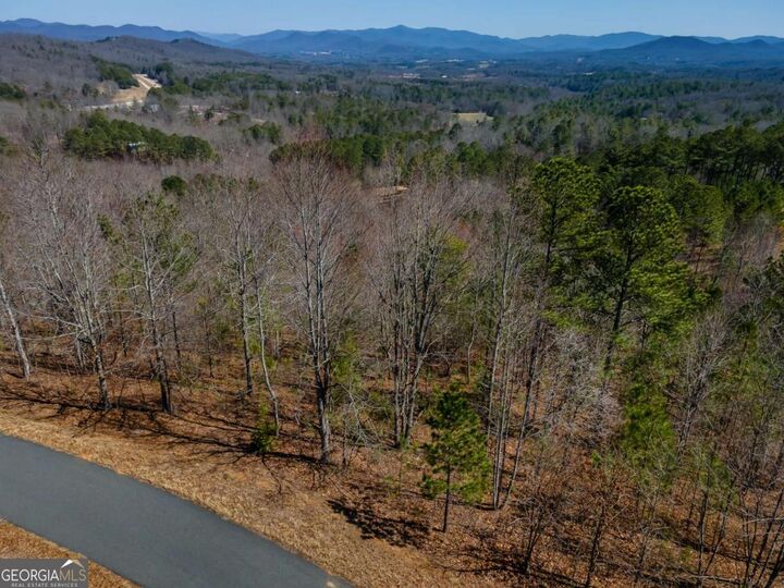 Property Photo:  Lot 38 The Hills At Queens Gap  GA 30512