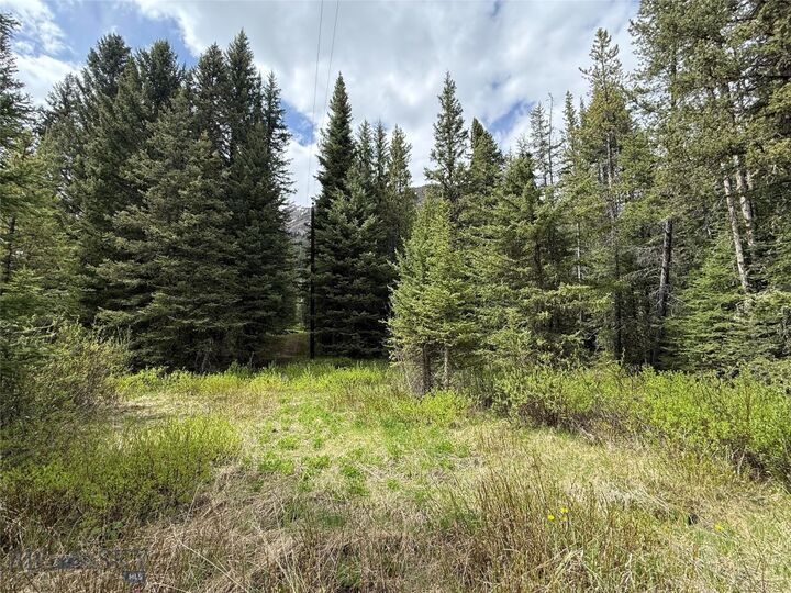Property Photo:  C-10 Basting Tracts  MT 59020 