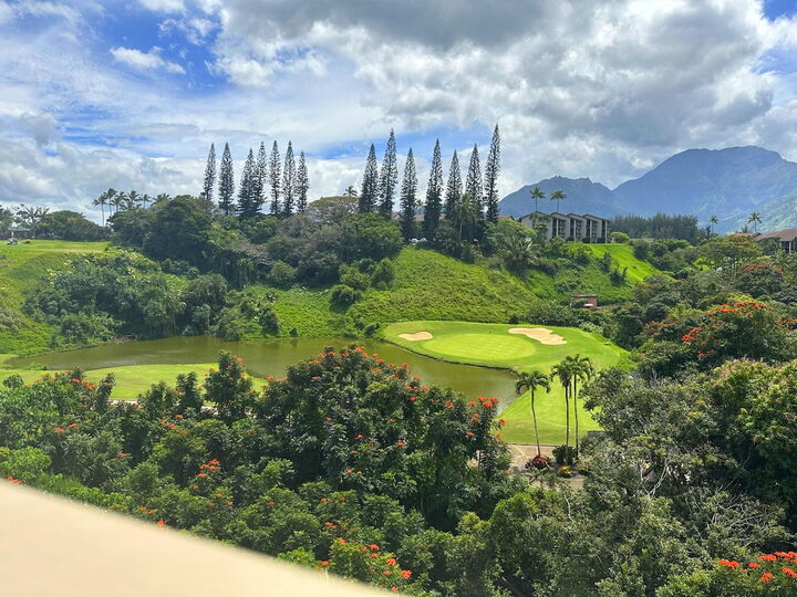 Property Photo:  5451 Ka Haku Rd 11  HI 96722