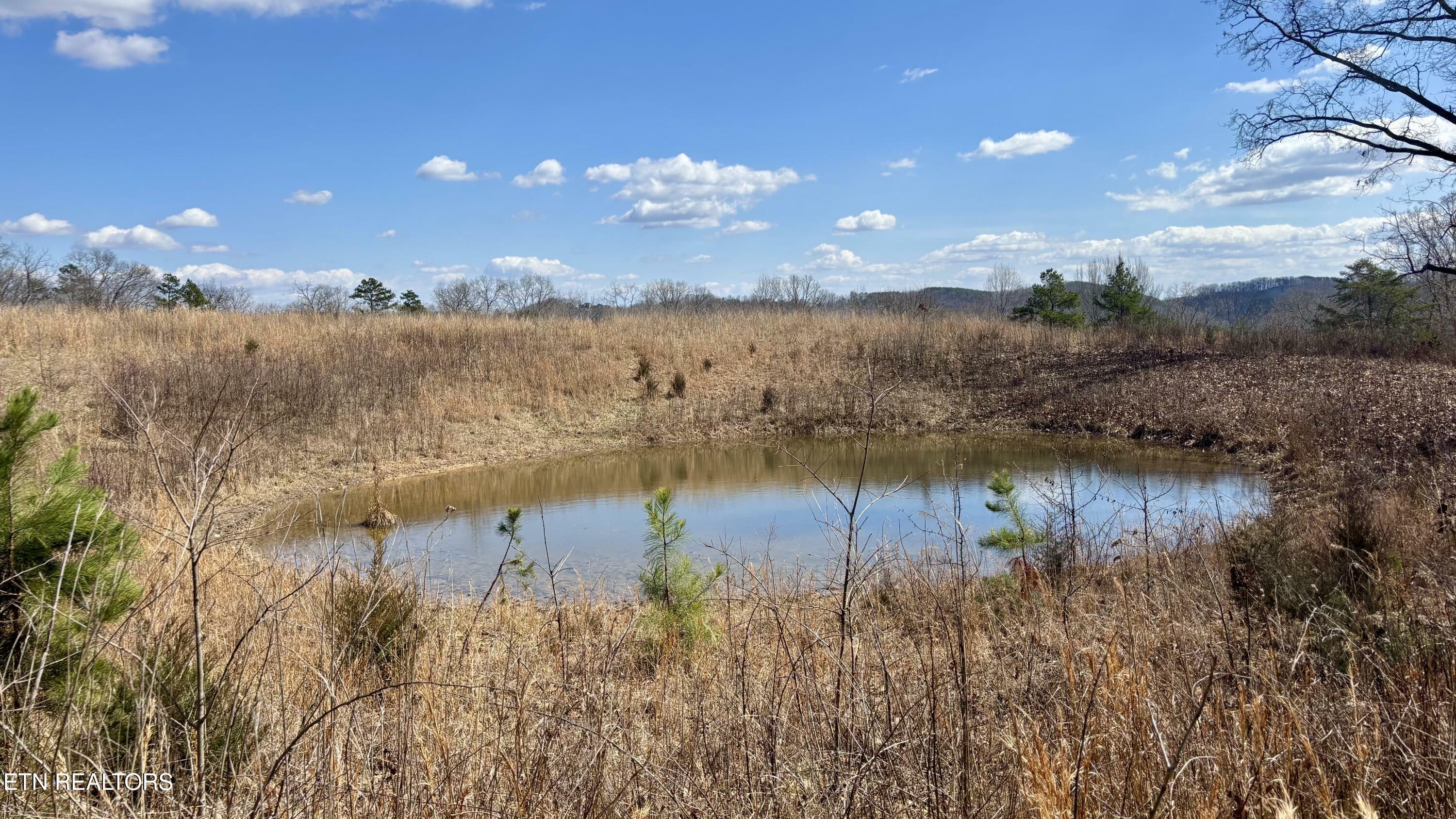 Property Photo:  199 Old Hood Landing  TN 37763 