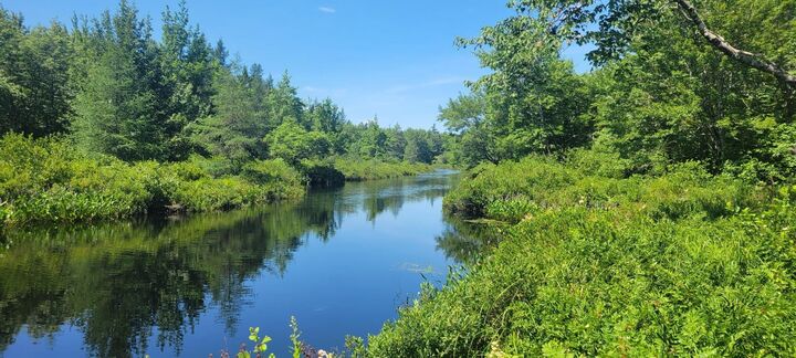 Lot 47 Bolivar Road — photo 1