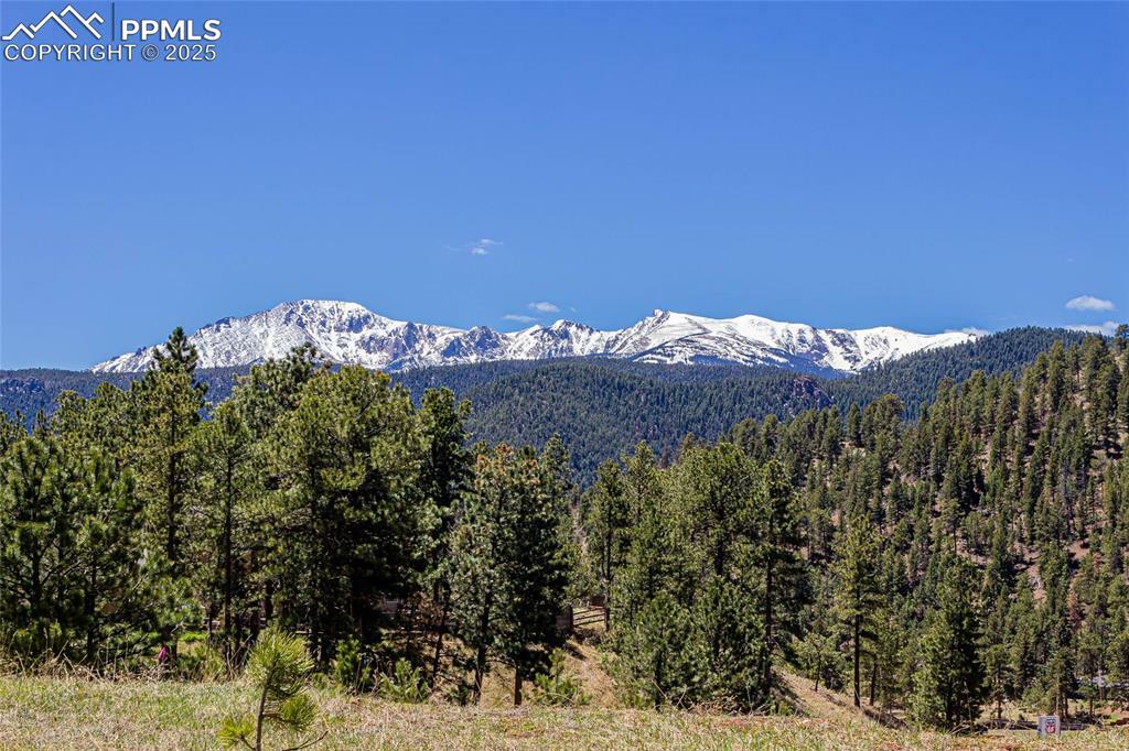 Property Photo: 2721 Mountain Glen Court CO 80863