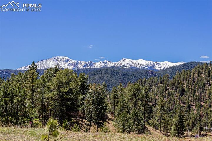 Property Photo:  2721 Mountain Glen Court  CO 80863 