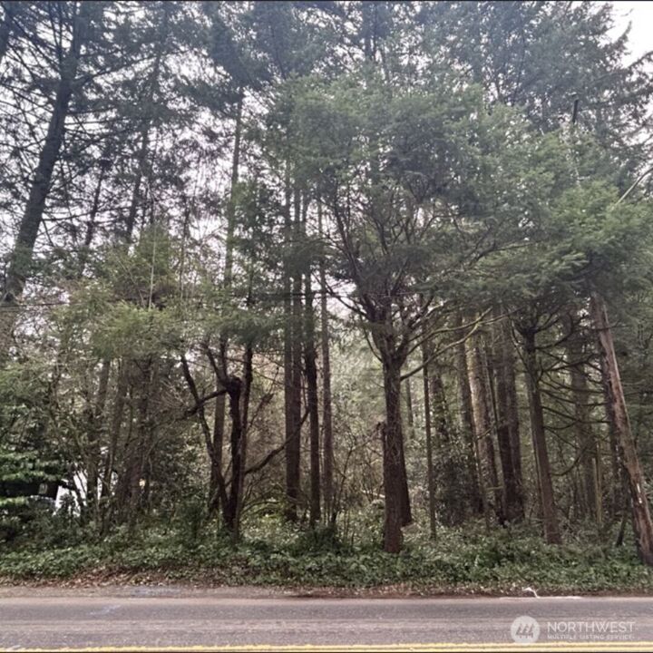 0  Interlaaken Drive SW  Lakewood WA 98498 photo
