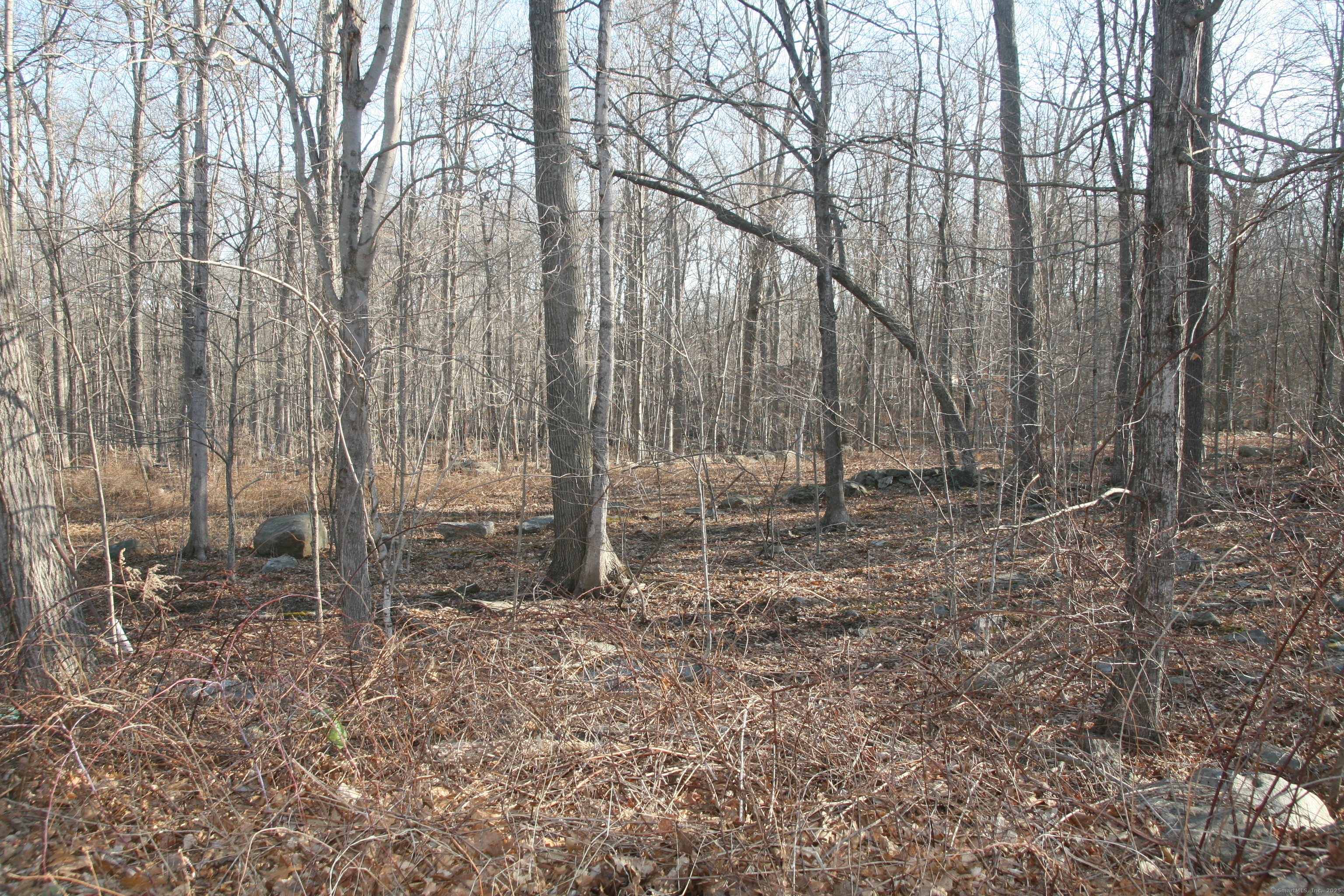 Property Photo: Beacon Hill Drive CT 06250