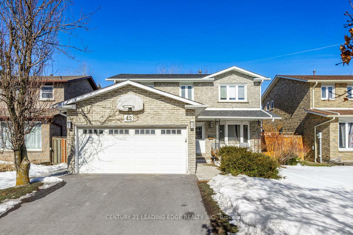 42 Northampton Street Bsmt  Brampton ON L6S 3Y7 photo