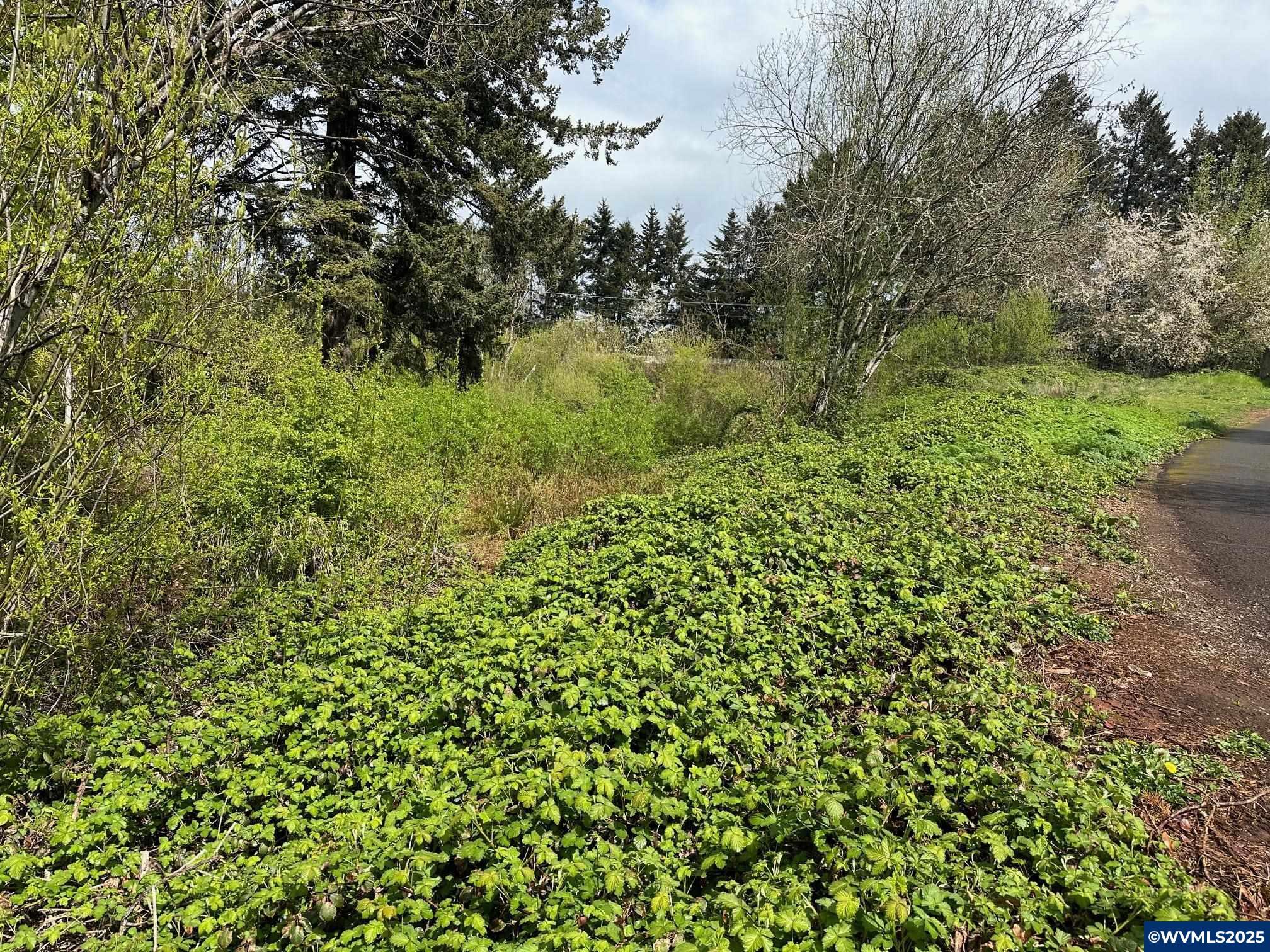 Property Photo: Off Spicetree Ln OR 97306