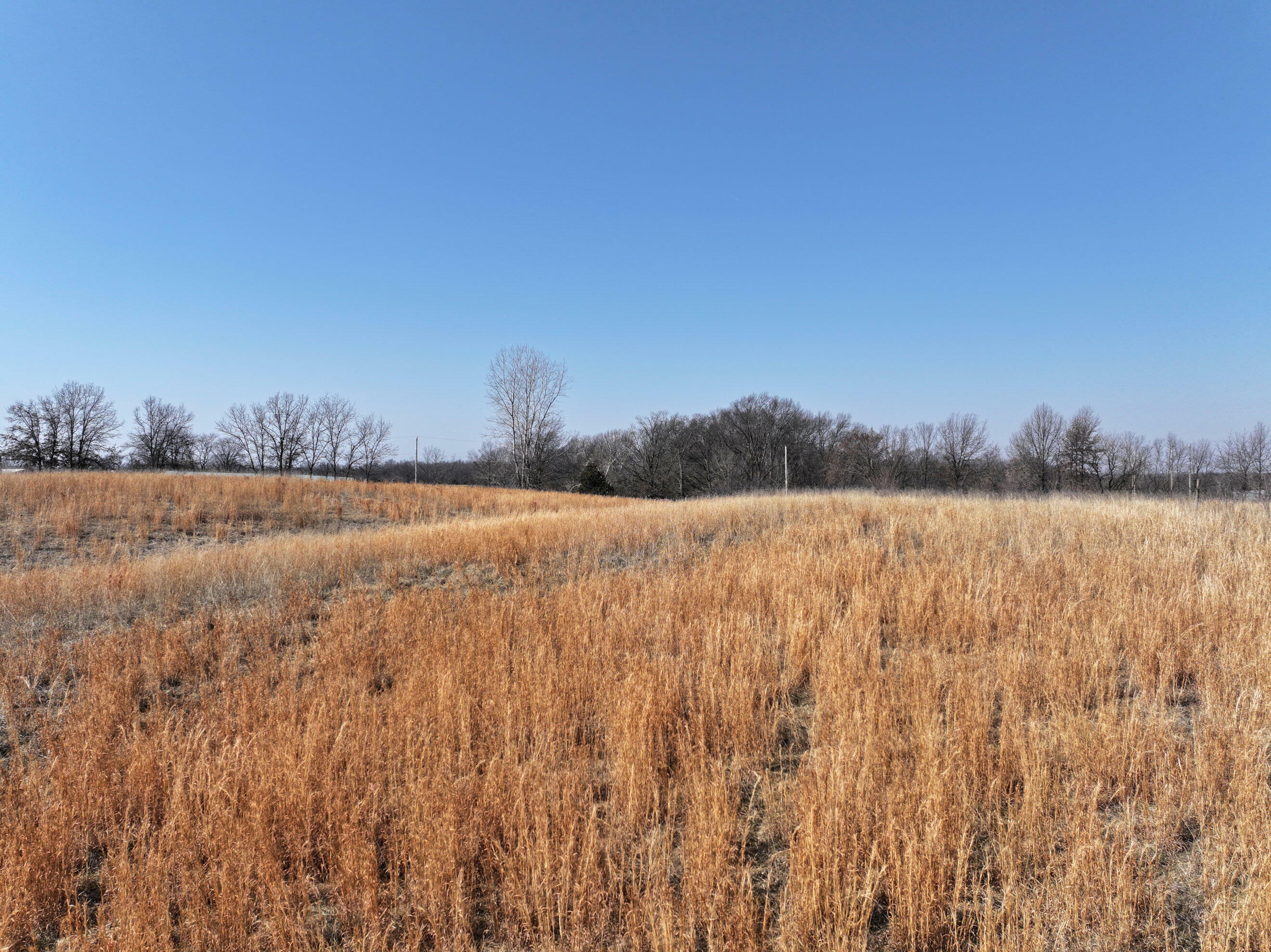 Property Photo:  County Road 2110  MO 65259 