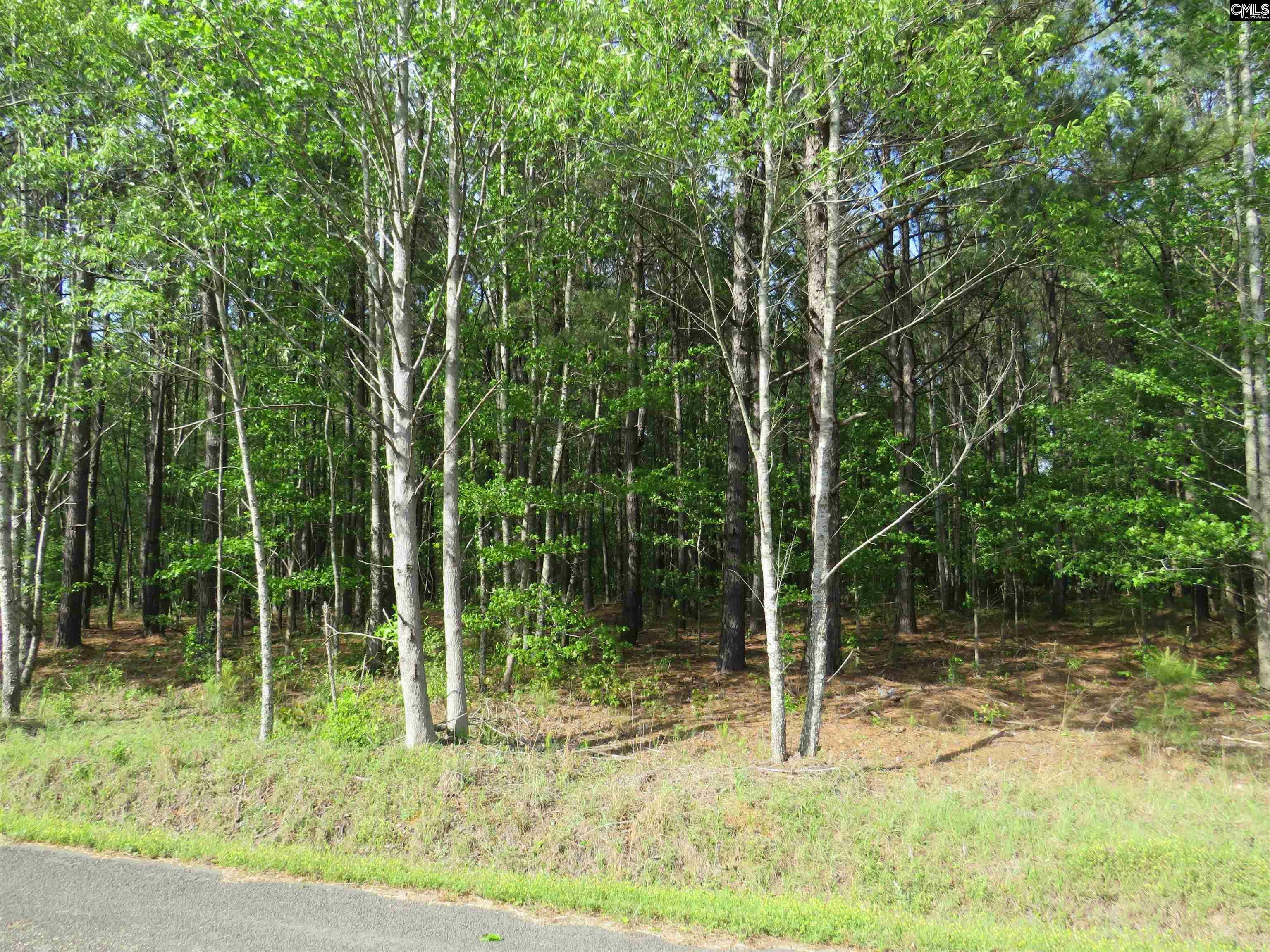 Property Photo:  N/S Hallwood  SC 29044 