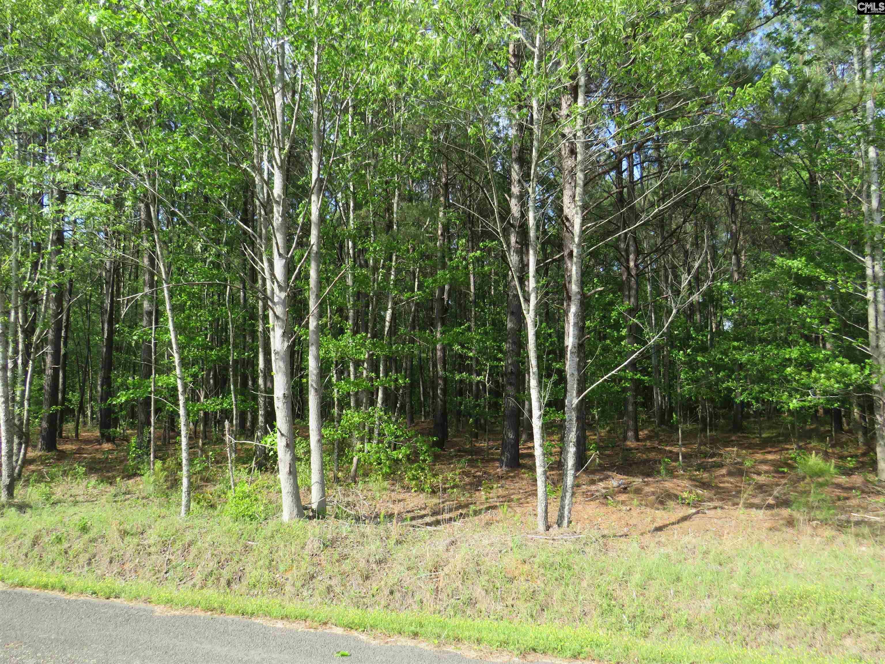 Property Photo: N/S Hallwood SC 29044