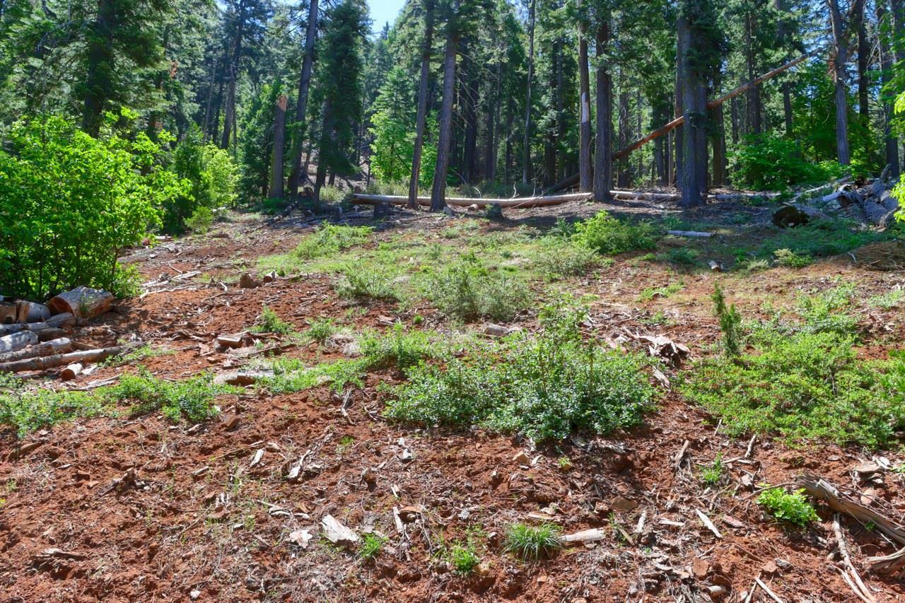 Property Photo: 7420 Henness Ridge Road CA 95389