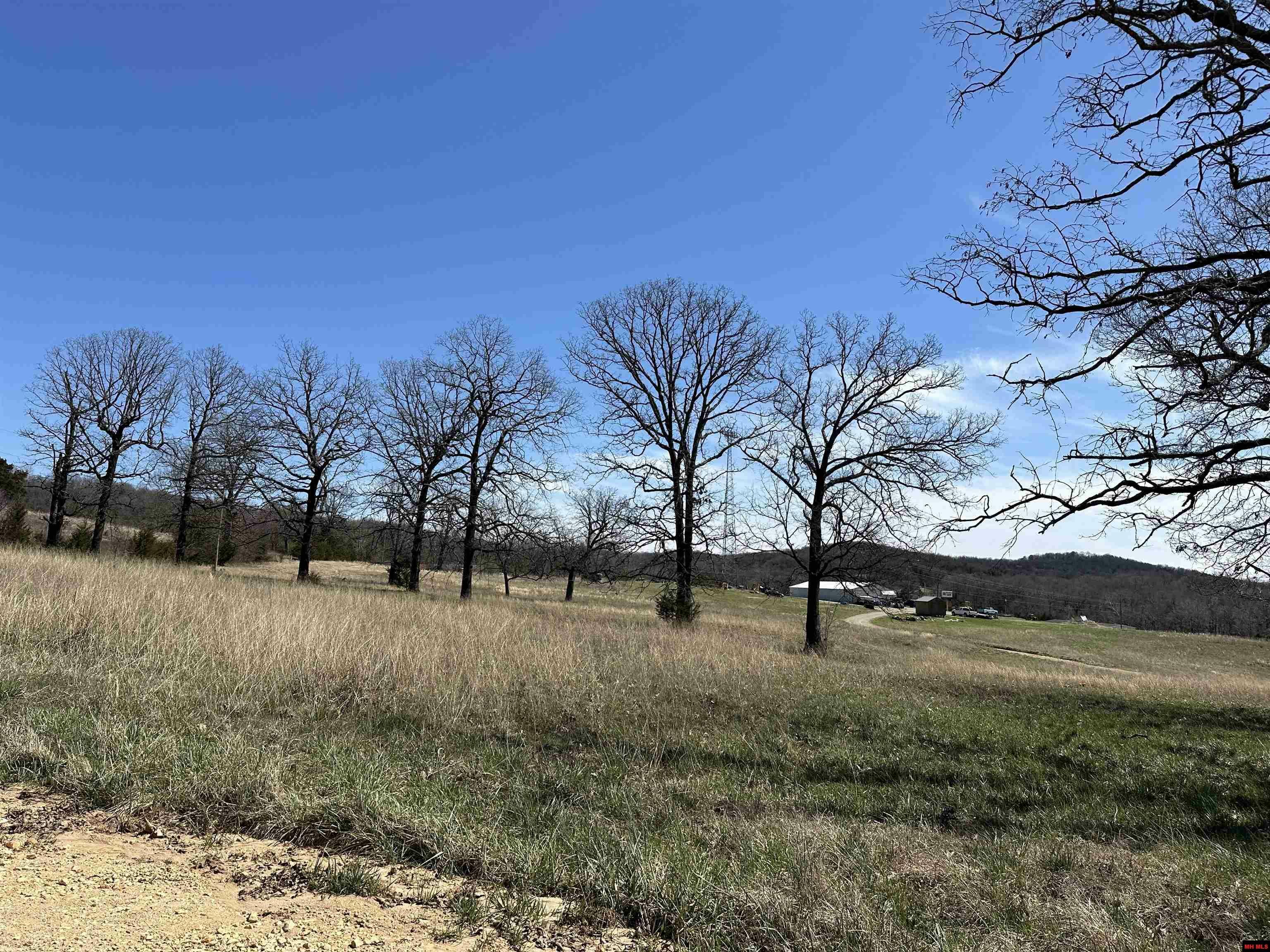 Property Photo: Lot 4 Deer Meadows Lane AR 72687