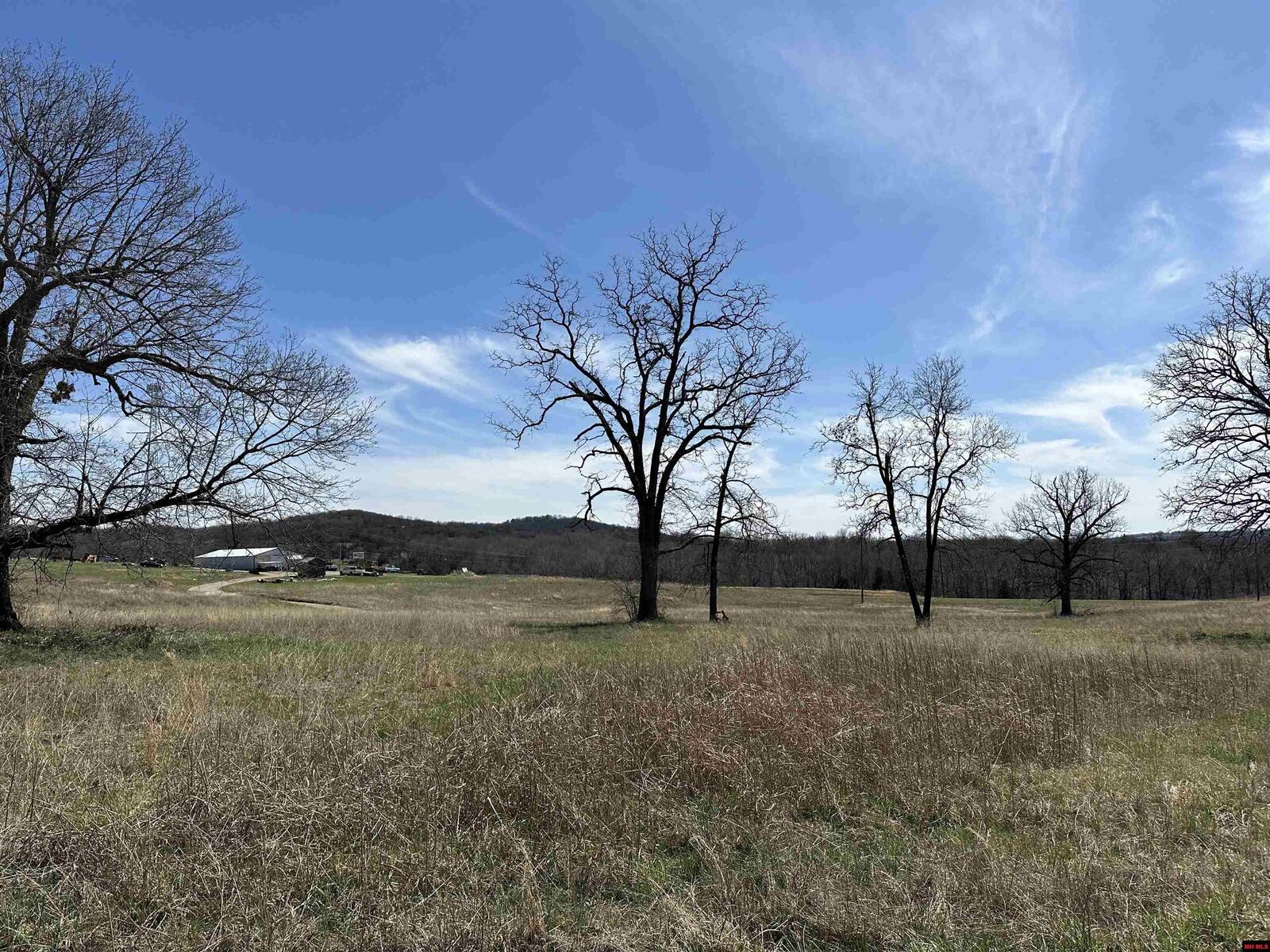 Property Photo:  Lot 4 Deer Meadows Lane  AR 72687 