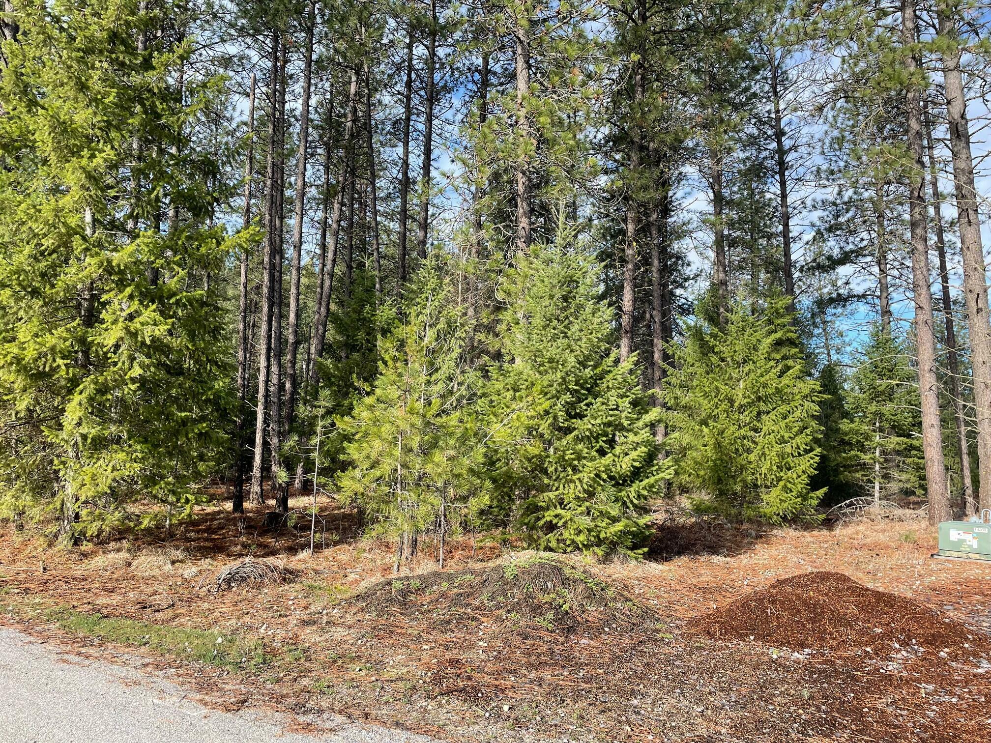 Property Photo: 268 Eagle Dr WA 99109