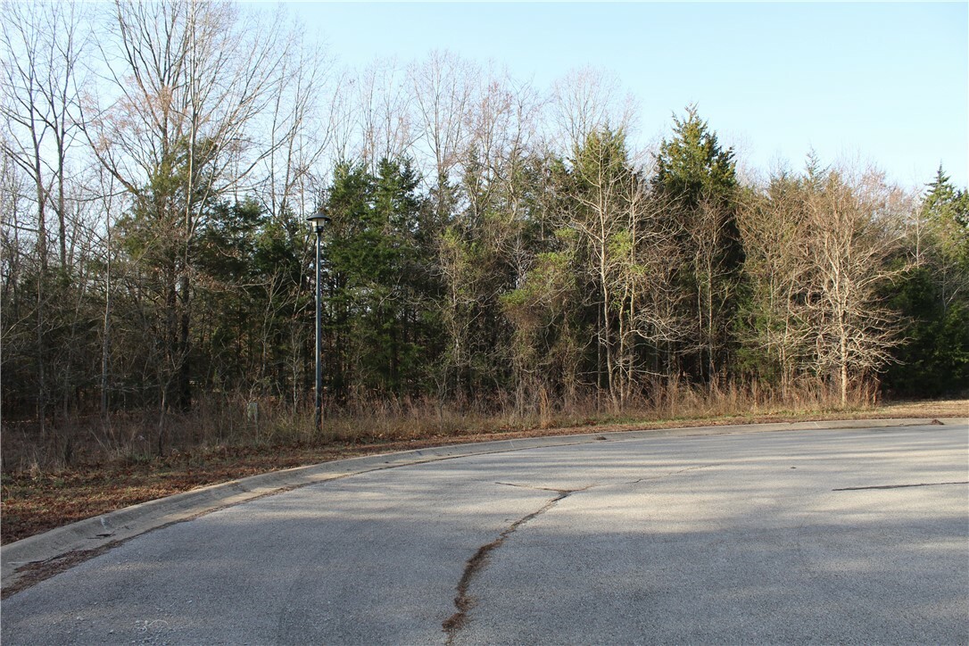 Property Photo:  761-00014-000 Falltime Drive  AR 72619 