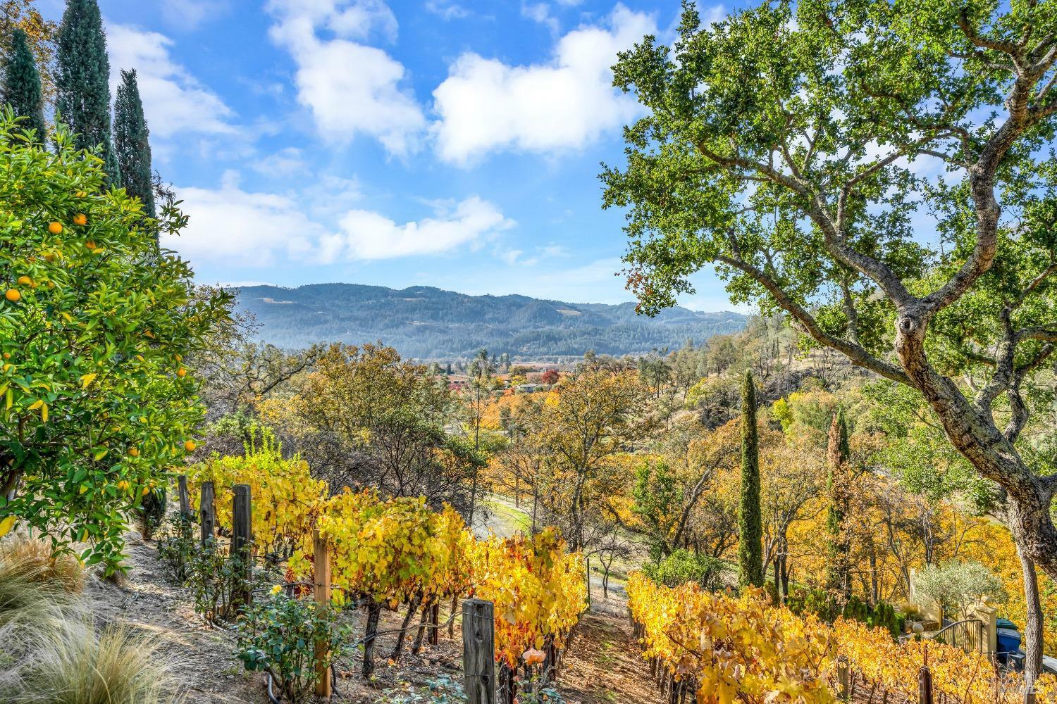 2395 Pickett Road  Calistoga CA 94515 photo