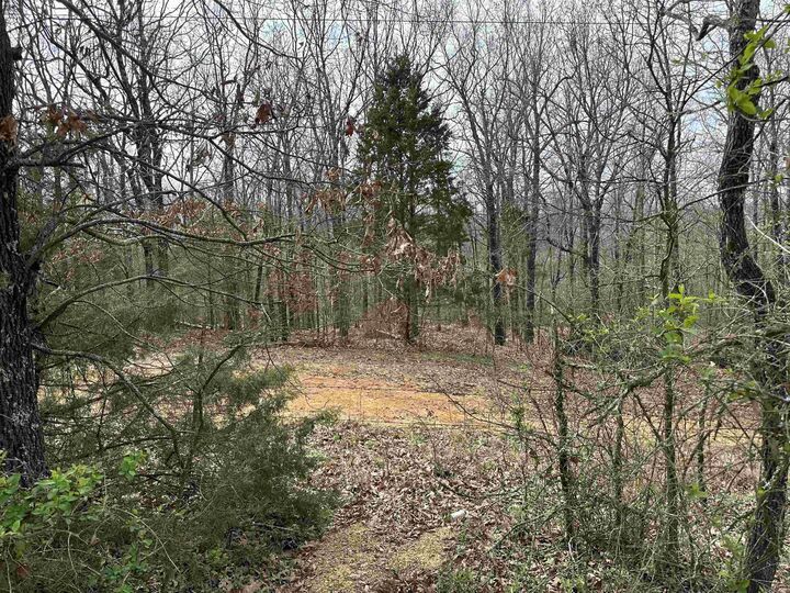 Property Photo: Lot 2 Raby Road AR 72432