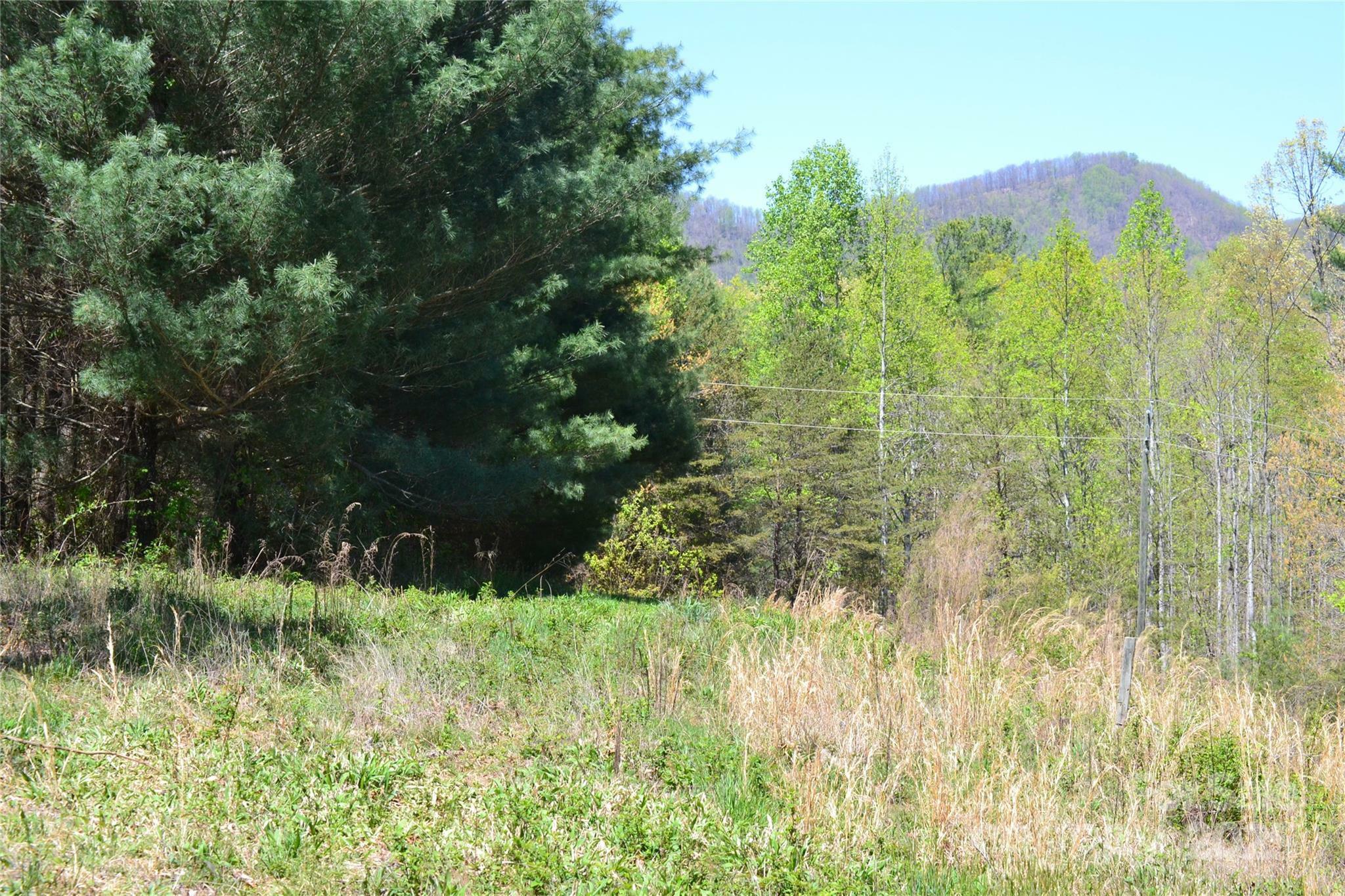 Property Photo: 00 Swaringen Road NC 28685
