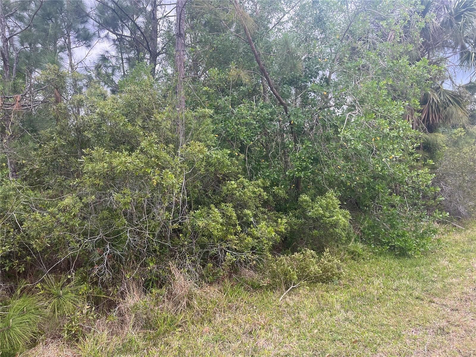 Property Photo:  Alhambra Avenue  FL 34291 