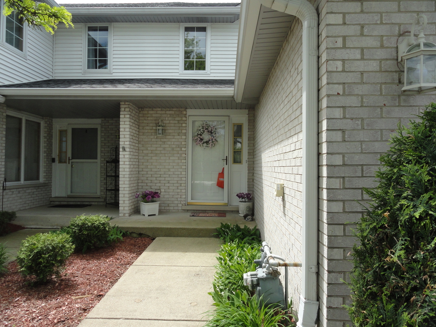 Property Photo: 8925 Mallard Road IL 60487