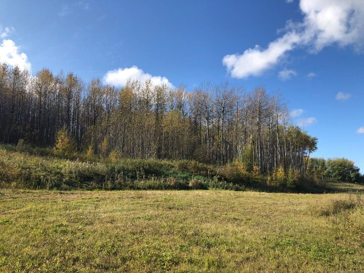 Property Photo: 16326 Twp Rd 675 111 AB T0A 2T0