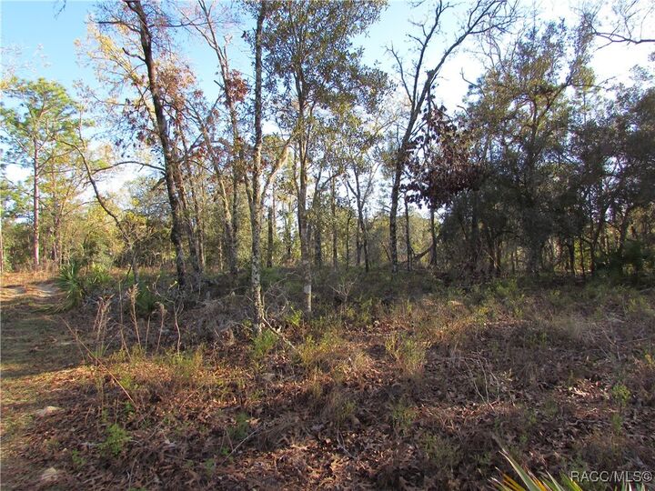 Property Photo:  1255 W Nankeen Drive  FL 34434 