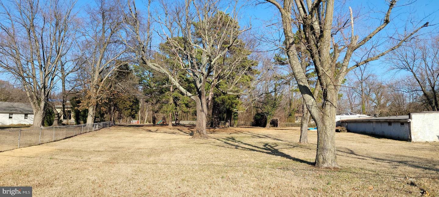 Beechwood Avenue  Essex MD 21221 photo